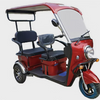 Pushpak 5000 | Electric Utility Cart with Hard Top