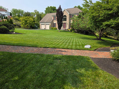 BESTMOW |Titan-100 Robotic Lawn Mower - Mobility Daddy