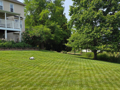 BESTMOW |Titan-100 Robotic Lawn Mower - Mobility Daddy