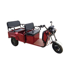 Pushpak 6000 2-Person Electric Trike Scooter - Mobility Daddy