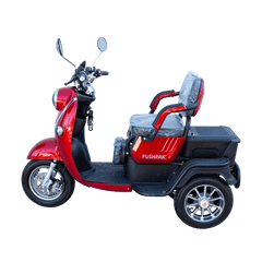 Pushpak 1000 2-Person Electric Trike Scooter - Mobility Daddy