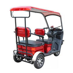 Pushpak 5000 2-Person Electric Trike Scooter - Mobility Daddy