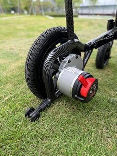 EASWE Model D10 | Foldable Lightweight Electric Wheelchair