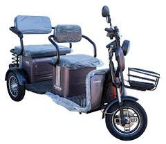 Pushpak 4000 | Heavy-Duty Electric Utility Scooter